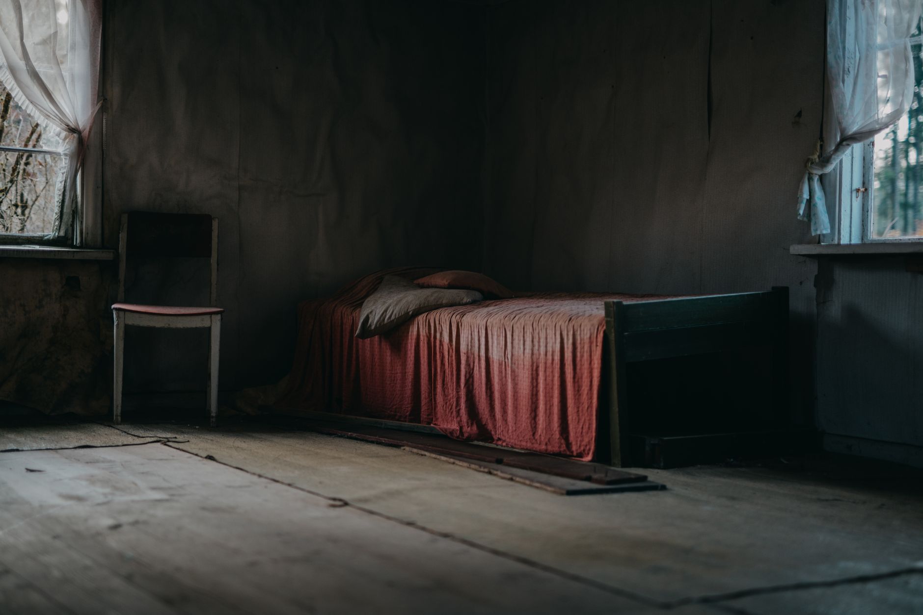 Traitement punaises de lit à Chatou